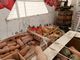 La zucca sarà la regina della festa della Pro Loco sul lungolago di Gavirate nelle prime quattro domeniche di ottobre