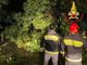 Maltempo a Luvinate, in azione Protezione Civile e Alpini per rimuovere gli alberi caduti nelle vie Cavour e San Vito