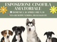 Buguggiate ospita la prima edizione del Dog Academy Italia Festival
