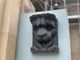 FOTO e VIDEO - Varese riscopre un altro dei suoi gioielli: i leoni &quot;guardiani&quot; del Bernascone