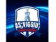 Il nuovo logo della Viggiù Cerbis Academy