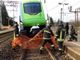 Un cigno prende... il treno alla stazione di Sesto Calende. Per salvarlo intervengono i vigili del fuoco