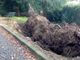 Parco Mantegazza, visto da... dentro: «Buche, tombini tappati, giochi vecchi, pericoli»