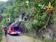 FOTO. Luino, albero piomba sulla strada. Vigili del fuoco in azione