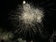 FOTO. La magia dei fuochi d'artificio danzanti sul lago scalda la notte. Un successo la Festa di Monate