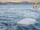 Si ribalta una barca a vela ai Castelli di Cannero: salvate due persone