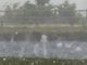 VIDEO. Un bombardamento dal cielo di grandine grossa come palline da golf