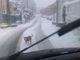Cagnolino con la zampetta schiacciata sotto la nevicata a Varese. «Chi lo riconosce?»