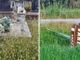 «A Capolago incuria, erba alta al cimitero e auto troppo veloci»