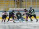Crazy Bees-Milano Devils, una sfida piena di sogni e futuro domani all'Acinque Ice Arena