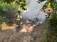 Luino, auto in fiamme nel bosco: indagano i carabinieri