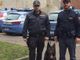 Controlli anti droga nelle scuole, in azione anche le unità cinofile: trovati spinelli, hashish e marijuana