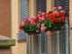 Balconi Fioriti, già arrivate le prime iscrizioni al concorso provinciale promosso da Coldiretti
