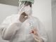 Coronavirus, i dati di giovedì 29 ottobre: nel Varesotto 920 contagi. Varese +87, Busto +66, Gallarate +59, Saronno +46
