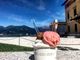 Luino, gelato a domicilio per addolcire le giornate a casa contro il Coronavirus