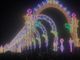 Natale a Varese, 500 mila presenze in più del 2021. Raddoppiati gli stranieri, 2.4 milioni di indotto
