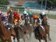 IPPICA. Terzo mercoledì di corse autunnali alle Bettole: Natalino Urracci lancia il suo settebello