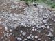 Foto Giulio Effigiati via NaturalMeteo della grandinata di Leggiunto