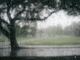 In giornata arriva la pioggia in provincia di Varese. Giovedì nuovo peggioramento