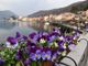 Fiori sulla passerella lungolago di Porto Ceresio