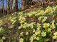 Dal finto inverno alla vera primavera: preparatevi a spalancare le finestre...