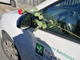 La rosa lasciata sull'auto