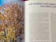 L'esemplare di Liquidambar styraciflua nel parco di Villa Tamagno fotografato nel libro “Alberi&amp;Varese” dell'agronomo varesino, già vicesindaco, Daniele Zanzi