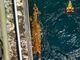 FOTO. Capriolo cade nel canale: salvato dai vigili del fuoco