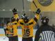 Via ai playoff e alle prevendite: come si fa a non essere presenti al palaghiaccio per sostenere Vanetti e compagni? (foto Michele Del Re)