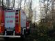 Alberi caduti sul sentiero del Porticciolo, vigili del fuoco in azione Alberi caduti sul sentiero del Porticciolo, vigili del fuoco in azione