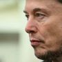 Musk lascia Trump: &quot;Mio mandato giunge a conclusione&quot;