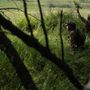 Ucraina-Russia, Kiev: &quot;Non negoziamo più con Mosca senza un cessate il fuoco&quot;