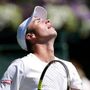 Wimbledon 2025, continua la favola di Tarvet: il carneade vince ma non guadagna
