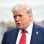 Dazi, Trump: &quot;Al 50% sul rame da agosto&quot;