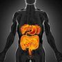 Intestino sempre giovane, è possibile: come fermare invecchiamento e prevenire tumori Intestino sempre giovane, è possibile: come fermare invecchiamento e prevenire tumori