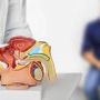 Cancro prostata avanzato, studio Asco conferma vantaggio cognitivo di darolutamide Cancro prostata avanzato, studio Asco conferma vantaggio cognitivo di darolutamide