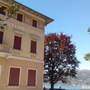 Palazzo Verbania Palazzo Verbania