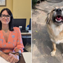 Fiona è fuori pericolo. L’assessore Cozzi condanna i colpevoli: «Gesto doloso, è un atto da delinquenti» Fiona è fuori pericolo. L’assessore Cozzi condanna i colpevoli: «Gesto doloso, è un atto da delinquenti»