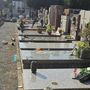 Le immagini del raid al cimitero di Gorla Minore