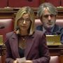 Gadda: «Protezione civile, senza risorse la riforma rischia di restare una scatola vuota»