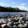 L'appello del Parco: «Non fare il bagno nel Ticino, il divieto serve a salvarti la vita»