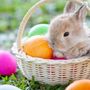 A SPASSO NEL WEEKEND. Uova, street food e caccia al tesoro. Ecco cosa fare nel fine settimana di Pasqua