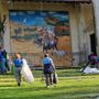 Volontarie e volontari del Cai Senior oggi in azione sulla Via Sacra