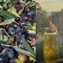 Un'altra eccellenza per Angera: l'olio extravergine di oliva ha ottenuto la De.Co