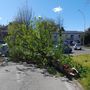 Il vento sferza Busto, crollano alberi e grossi rami