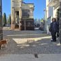 Diesel e Lucia al cancello del cimitero monumentale di Giubiano Diesel e Lucia al cancello del cimitero monumentale di Giubiano