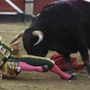 Il toro incorna e uccide il torero, lo choc in Spagna Il toro incorna e uccide il torero, lo choc in Spagna