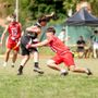 Gorillas, gran fermento tra giovani, Rock the Jungle, San Fermo e i playoff Gorillas, gran fermento tra giovani, Rock the Jungle, San Fermo e i playoff