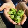 Induno Olona, Carlsberg presenta la nuova strategia del gruppo per ridurre l'impatto su pianeta e persone Induno Olona, Carlsberg presenta la nuova strategia del gruppo per ridurre l'impatto su pianeta e persone