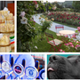 Fine settimana al sapore d'estate con eventi per tutti: dall'asparago di Cantello alle rose di Induno, dalla birra della schiranna ai più bei musi di Varese ai Giardini Estensi Fine settimana al sapore d'estate con eventi per tutti: dall'asparago di Cantello alle rose di Induno, dalla birra della schiranna ai più bei musi di Varese ai Giardini Estensi